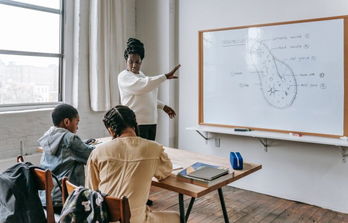 African American female teacher standing near whiteboard and giving lecture to ethnic teenagers during biology lesson