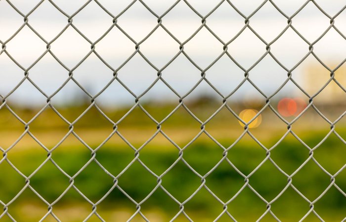 A detailed view of a metal chain link fence with blurred greenery and lights in the background.